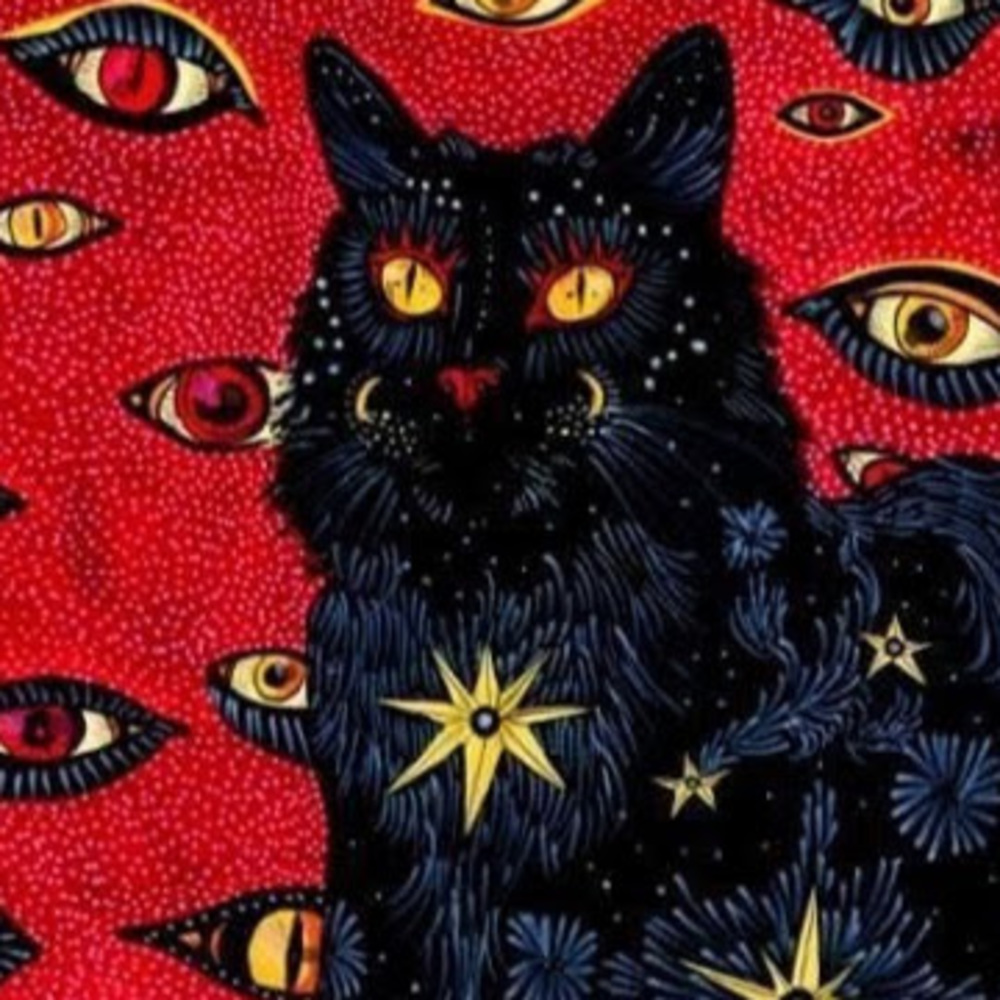 Meet your Posher, Bella